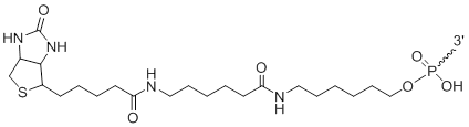 Unit Structure: 3'-Biotin LC